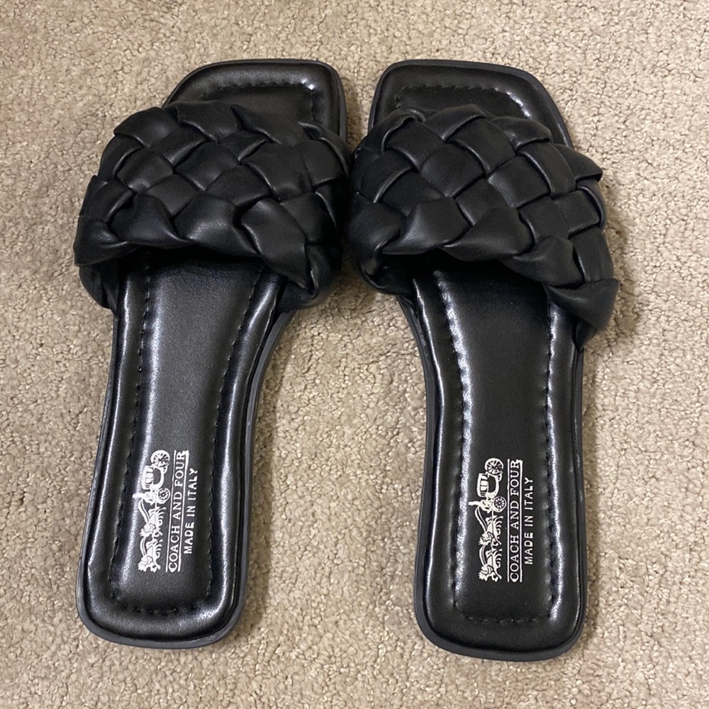 Coach and Four Flats